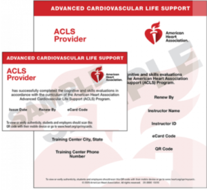 ACLS Provider Sample Ecard (2020 Guidelines)